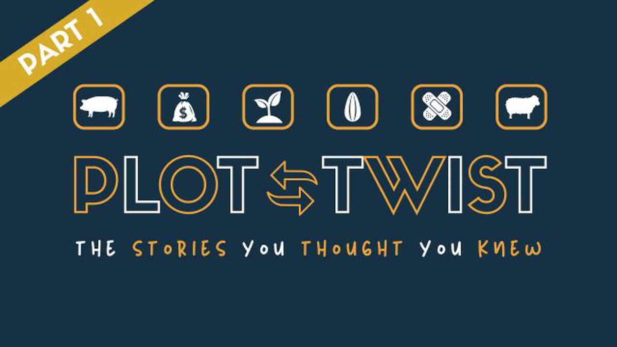 Plot Twist: Part 1 image number null